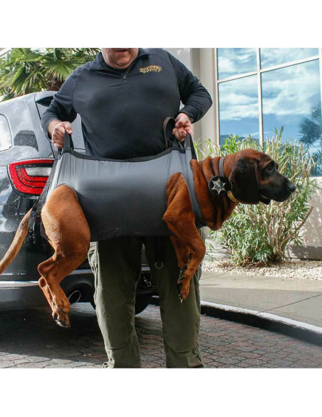 K9 | manta de emergencias y rescate para perros.